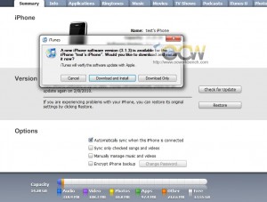 iphone313