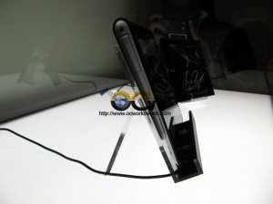 IMG_5730 copy