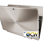 TF201_gold_A_059