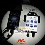 IMG_6633 copy