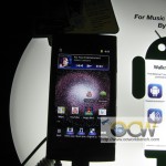 IMG_6634 copy