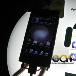 IMG_6652 copy