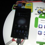IMG_6656 copy