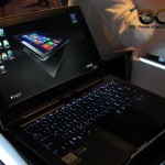 IMG_7013 copy